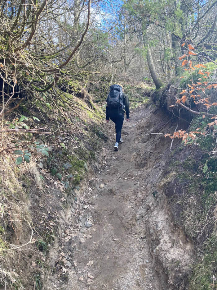 Bjergetapen i Mols Bjerge - eventyrligt terræn